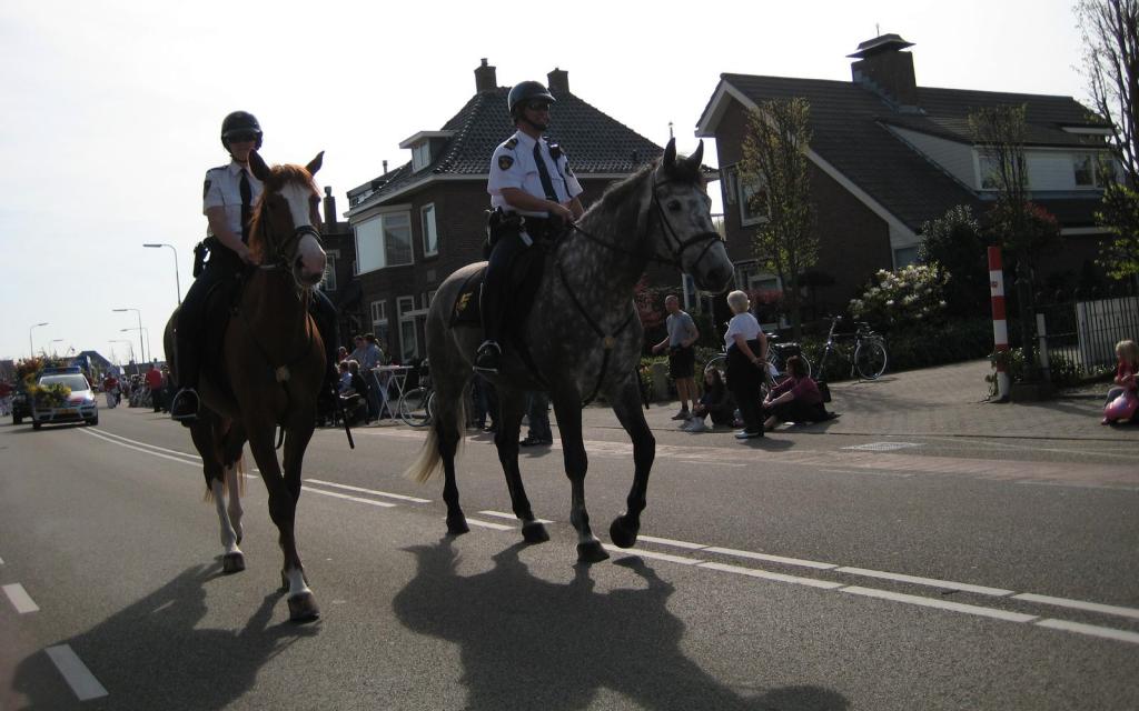 Politie te paard