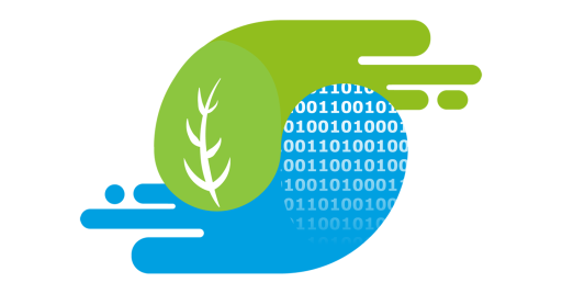 digital transition
